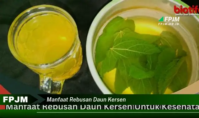 manfaat rebusan daun kersen