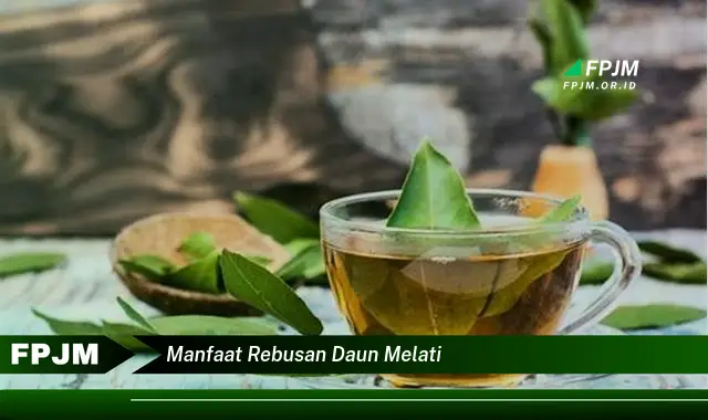 manfaat rebusan daun melati