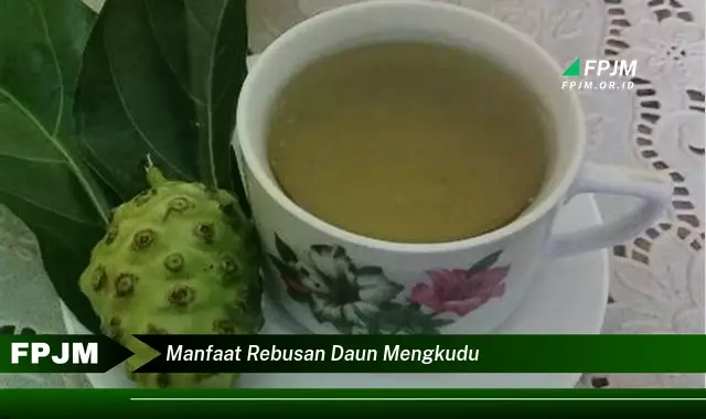 manfaat rebusan daun mengkudu