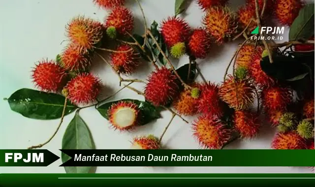 Ketahui 10 Manfaat Rebusan Daun Rambutan untuk Kesehatan Anda