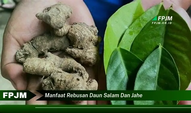 Ketahui 9 Manfaat Rebusan Daun Salam dan Jahe untuk Kesehatan Tubuh Anda