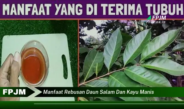 Ketahui 9 Manfaat Rebusan Daun Salam dan Kayu Manis untuk Kesehatan Anda