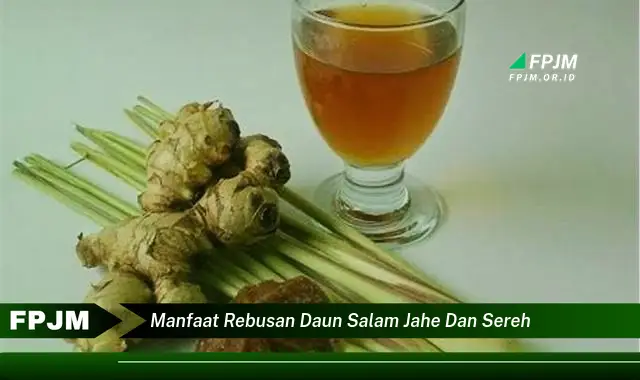 manfaat rebusan daun salam jahe dan sereh