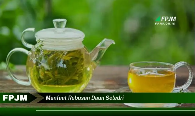 manfaat rebusan daun seledri