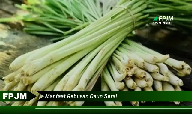 manfaat rebusan daun serai