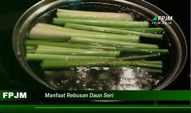 manfaat rebusan daun seri