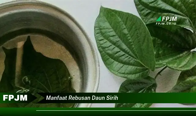 manfaat rebusan daun sirih