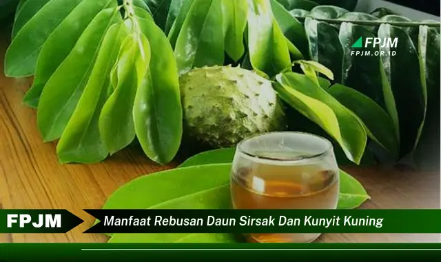 manfaat rebusan daun sirsak dan kunyit kuning