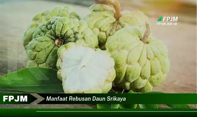 manfaat rebusan daun srikaya