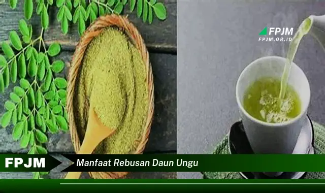 manfaat rebusan daun ungu