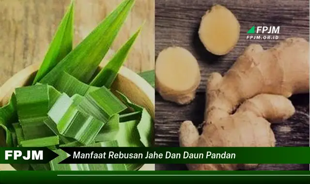 manfaat rebusan jahe dan daun pandan