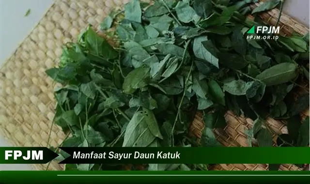 Ketahui 8 Manfaat Sayur Daun Katuk untuk Ibu Menyusui dan Kesehatan Bayi