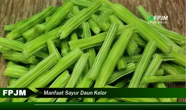 manfaat sayur daun kelor