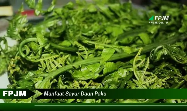 Ketahui 10 Manfaat Sayur Daun Paku untuk Kesehatan Tubuh Anda