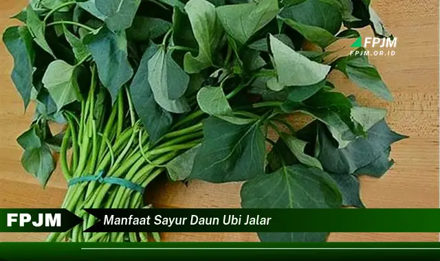 manfaat sayur daun ubi jalar