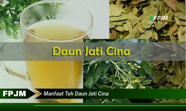 manfaat teh daun jati cina