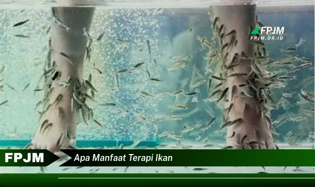 apa manfaat terapi ikan