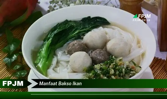 manfaat bakso ikan