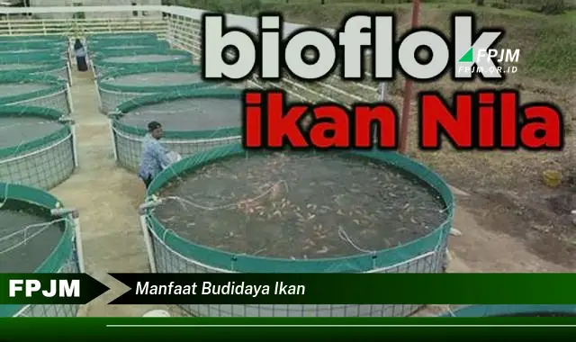 manfaat budidaya ikan