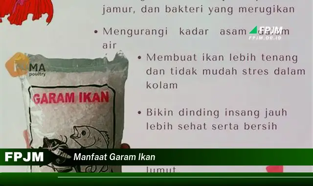 manfaat garam ikan manfaat garam ikan