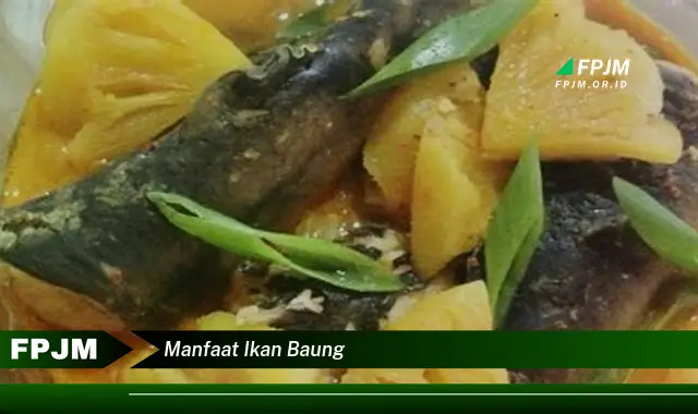 manfaat ikan baung