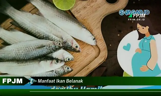 manfaat ikan belanak