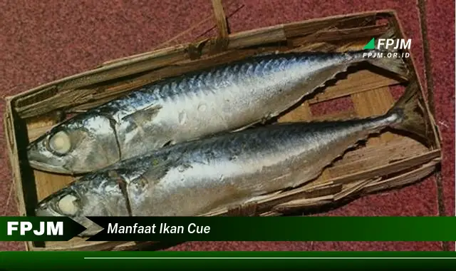 manfaat ikan cue