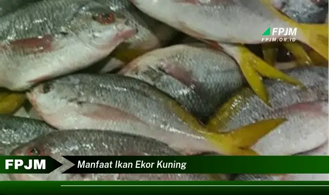 manfaat ikan ekor kuning manfaat ikan ekor kuning