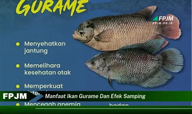 manfaat ikan gurame dan efek samping