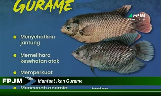 manfaat ikan gurame