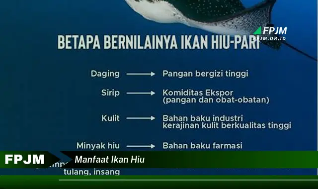 manfaat ikan hiu