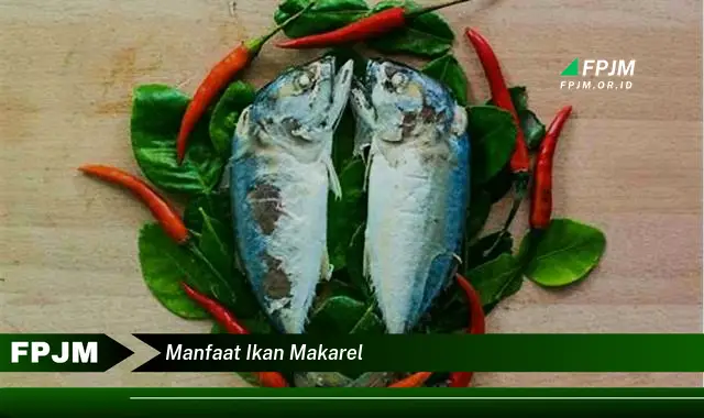 manfaat ikan makarel