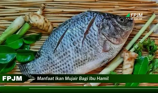 manfaat ikan mujair bagi ibu hamil manfaat ikan mujair bagi ibu hamil