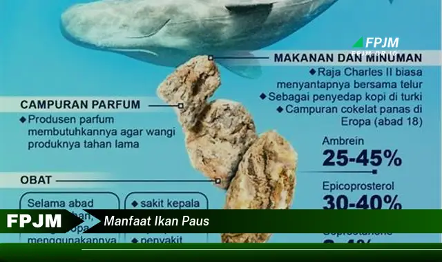 manfaat ikan paus manfaat ikan paus