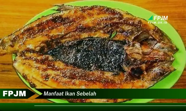 manfaat ikan sebelah