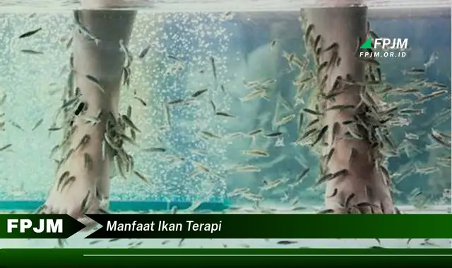 manfaat ikan terapi