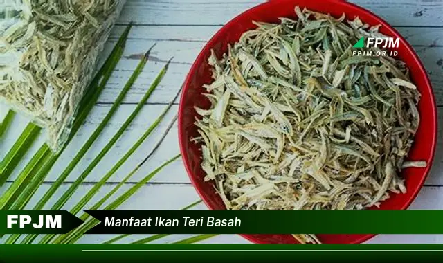 manfaat ikan teri basah