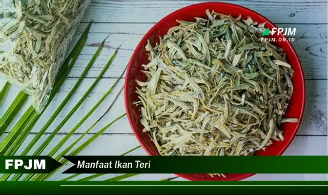 manfaat ikan teri manfaat ikan teri