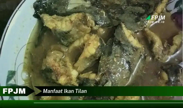 manfaat ikan tilan