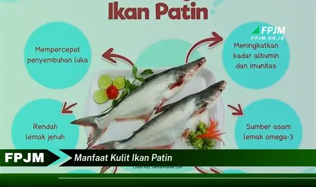 manfaat kulit ikan patin manfaat kulit ikan patin