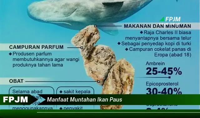 manfaat muntahan ikan paus