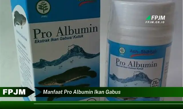 manfaat pro albumin ikan gabus