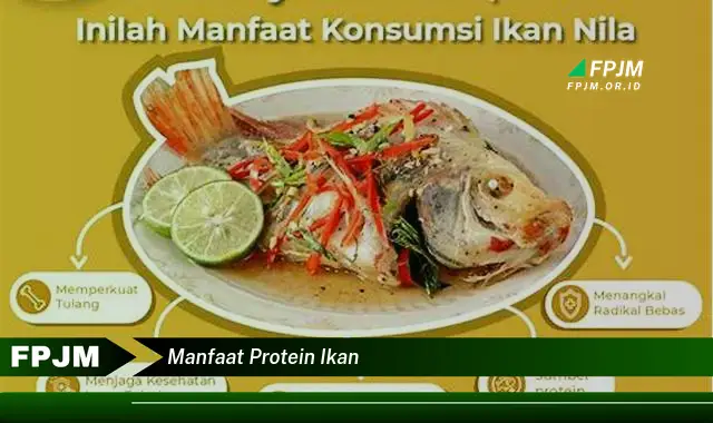 manfaat protein ikan manfaat protein ikan