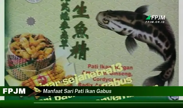 manfaat sari pati ikan gabus