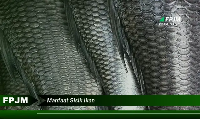 manfaat sisik ikan