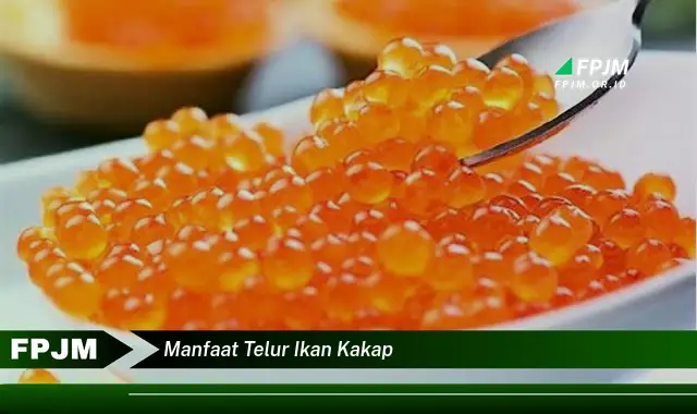 manfaat telur ikan kakap manfaat telur ikan kakap