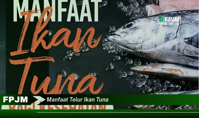 manfaat telur ikan tuna