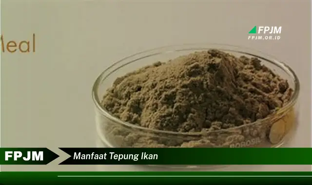 manfaat tepung ikan manfaat tepung ikan