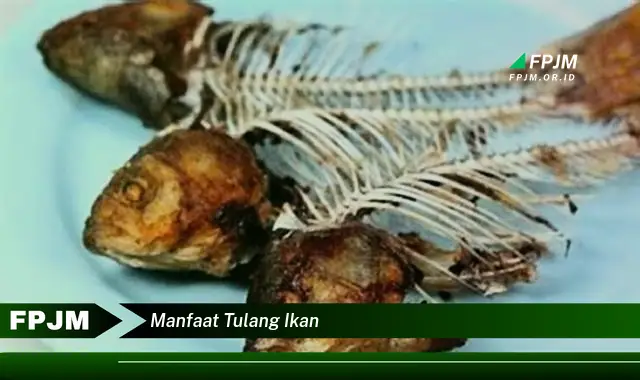 manfaat tulang ikan manfaat tulang ikan