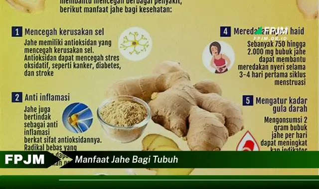 manfaat jahe bagi tubuh